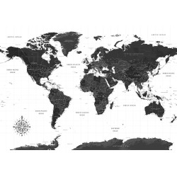Fototapete - Black and White Map
