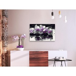 Malen nach Zahlen - Purple Orchid (Black Background & Reflection In The Water)