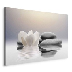 Leinwandbild - Garden of Calm