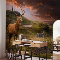 Fototapete - Deer on Hill