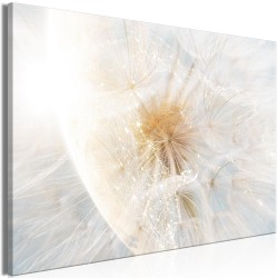 Leinwandbild - Dandelion in the Sun (1 Part) Wide