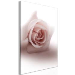 Leinwandbild - Floral Glamour Glow (1-part) - Delicate and Pastel Pink Rose