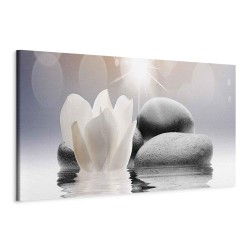 Leinwandbild - Pebbles in Water (1 Part) Narrow