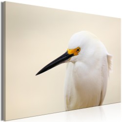 Leinwandbild - Snowy Egret (1 Part) Wide
