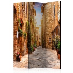Paravent - Colourful Street in Tuscany