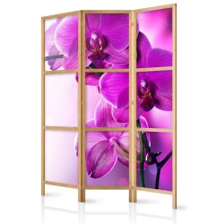 Japanischer Paravent - Violet Orchids I