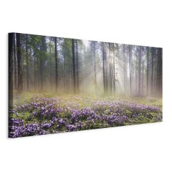 Leinwandbild - Purple Meadow (1 Part) Wide