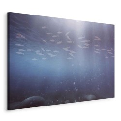 Leinwandbild - Fish in the depths