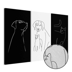 Leinwandbild - Domestic Animals (3 Parts)