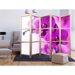 Japanischer Paravent - Violet Orchids II