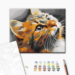 Malen nach Zahlen - Red Cat