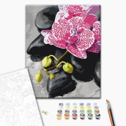 Malen nach Zahlen - Pink Orchid