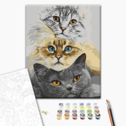 Malen nach Zahlen - Cats Trio